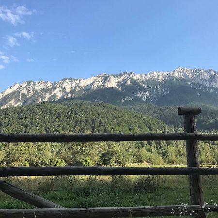 Pensiunea Kyfana Зэрнешти Экстерьер фото