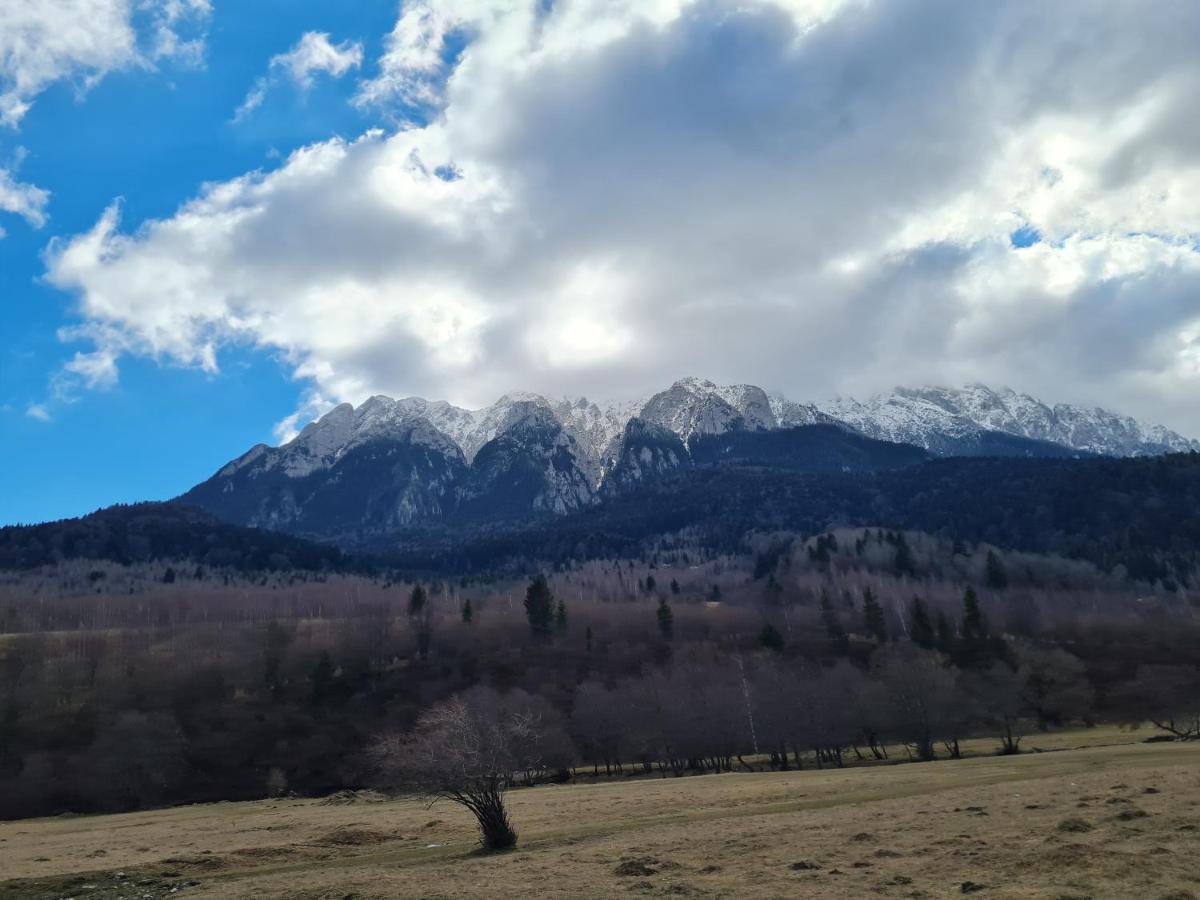Pensiunea Kyfana Зэрнешти Экстерьер фото