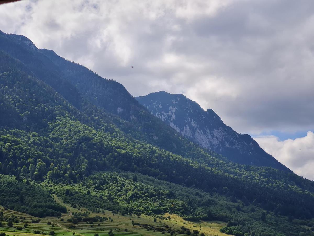 Pensiunea Kyfana Зэрнешти Экстерьер фото